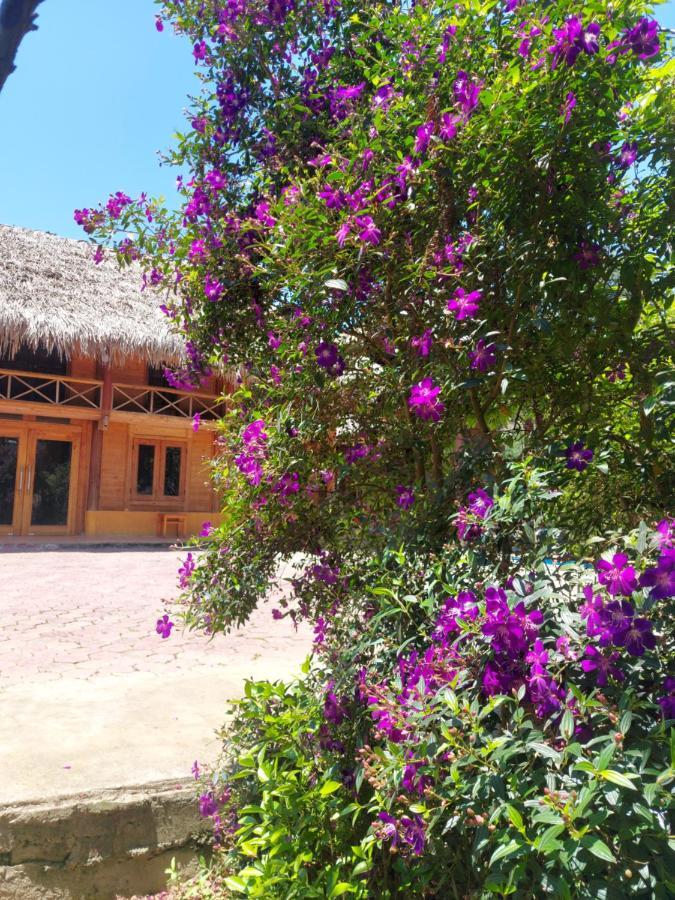 Flower Hmong Homestay Bac Ha  Buitenkant foto