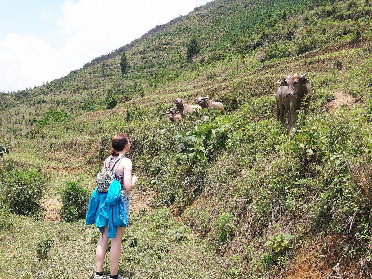 Flower Hmong Homestay Bac Ha  Buitenkant foto