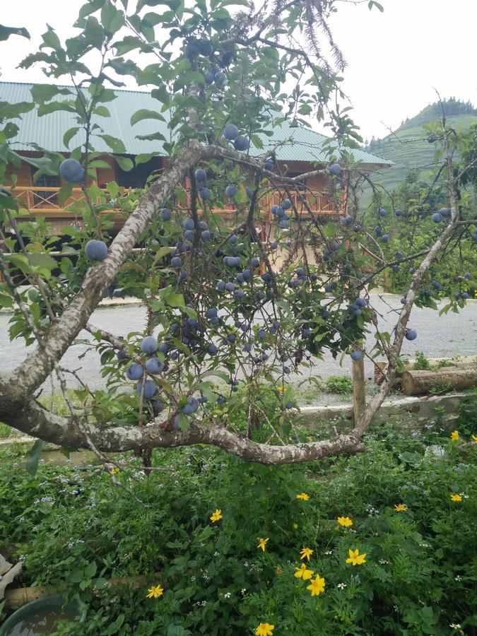Flower Hmong Homestay Bac Ha  Buitenkant foto
