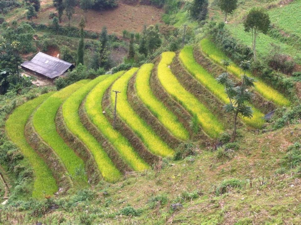 Flower Hmong Homestay Bac Ha  Buitenkant foto