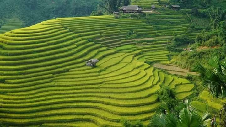 Flower Hmong Homestay Bac Ha  Buitenkant foto